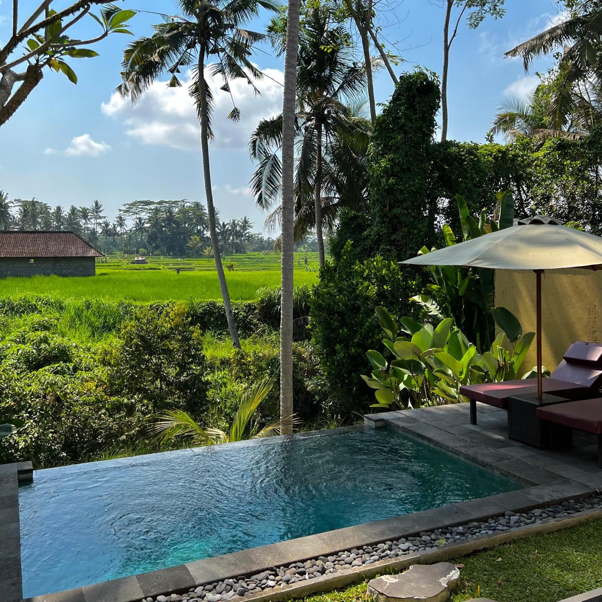 Kubu Bali Baik Villa & Resort - Chse Certified Убуд Экстерьер фото
